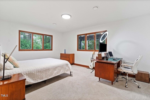 500 Walnut Creek Dr, Goldsboro, NC 27534 - carpeted bedroom with multiple windows, a desk, and baseboards