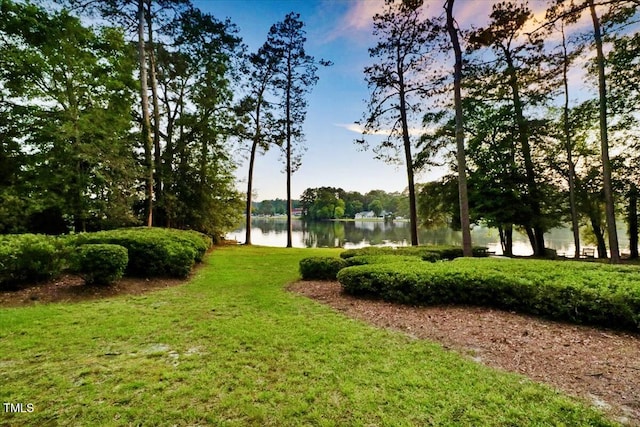 500 Walnut Creek Dr, Goldsboro, NC 27534 - surrounding community featuring a water view and a lawn