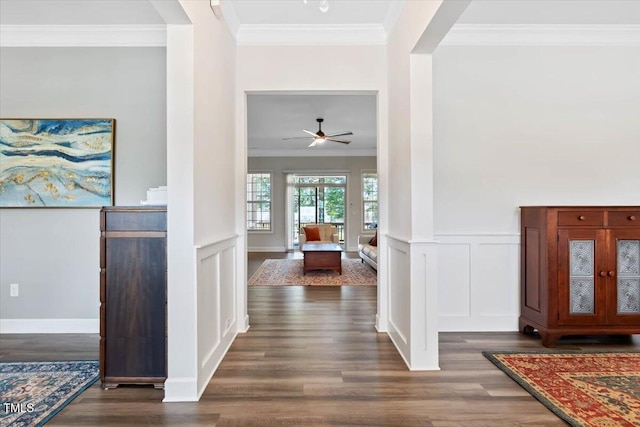 7801 Charters End St, Willow Springs, NC 27592 - foyer entrance featuring ornamental molding, dark wood-type flooring, a ceiling fan, a decorative wall, and a wainscoted wall