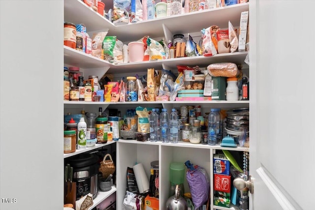 7801 Charters End St, Willow Springs, NC 27592 - view of pantry