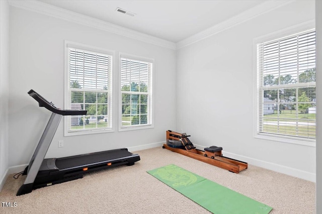 7801 Charters End St, Willow Springs, NC 27592 - exercise room featuring healthy amount of natural light, crown molding, and carpet floors
