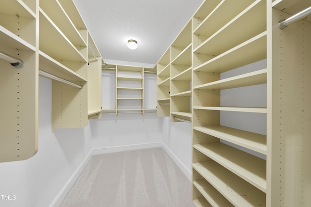 2300 Valley Forge Dr, Raleigh, NC 27615 - walk in closet featuring carpet flooring
