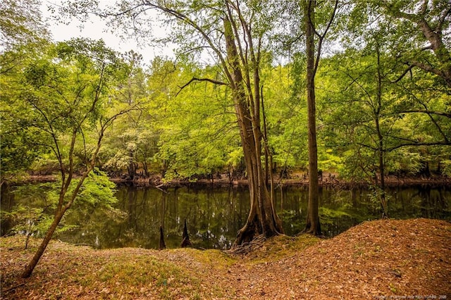 706 Riverside Dr, Lumberton, NC 28358 - water view featuring a forest