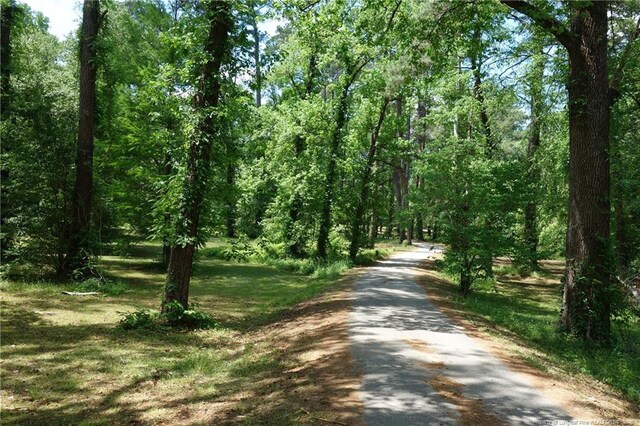 706 Riverside Dr, Lumberton, NC 28358 - view of street with a forest view