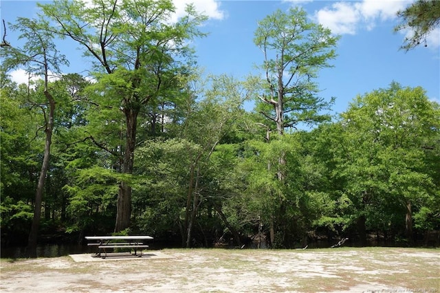 706 Riverside Dr, Lumberton, NC 28358 - view of yard featuring a view of trees