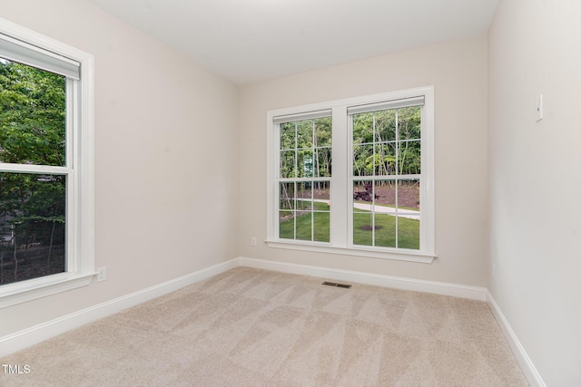 66 Sweet Meadow Ln, Pittsboro, NC 27312 - unfurnished room featuring plenty of natural light, carpet, and baseboards