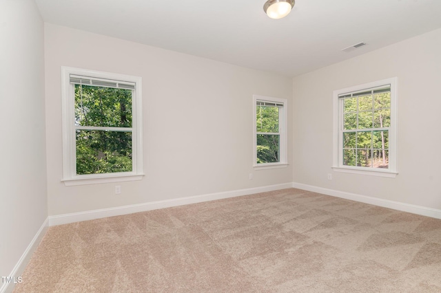66 Sweet Meadow Ln, Pittsboro, NC 27312 - carpeted spare room featuring plenty of natural light and baseboards
