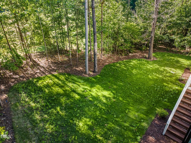 66 Sweet Meadow Ln, Pittsboro, NC 27312 - view of green lawn