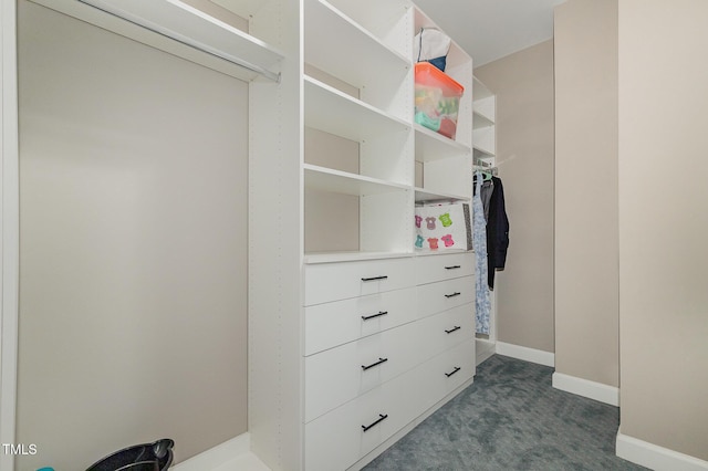 8004 Thrush Ridge Ln, Raleigh, NC 27615 - walk in closet with dark carpet