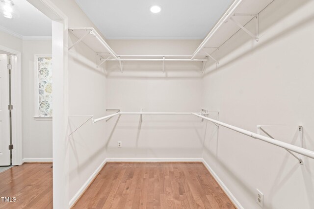 2107 Somers Ave, Burlington, NC 27215 - walk in closet featuring light wood-style floors