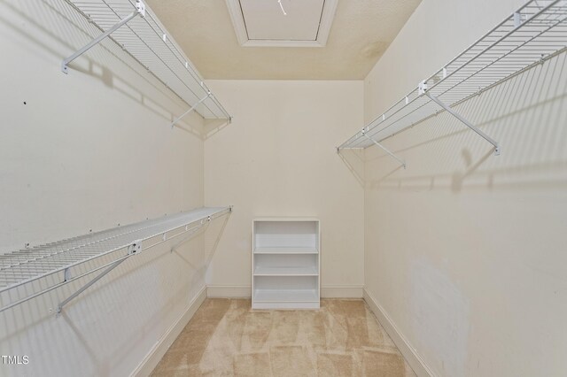 108 Ripplewater Ln, Cary, NC 27518 - spacious closet with carpet floors