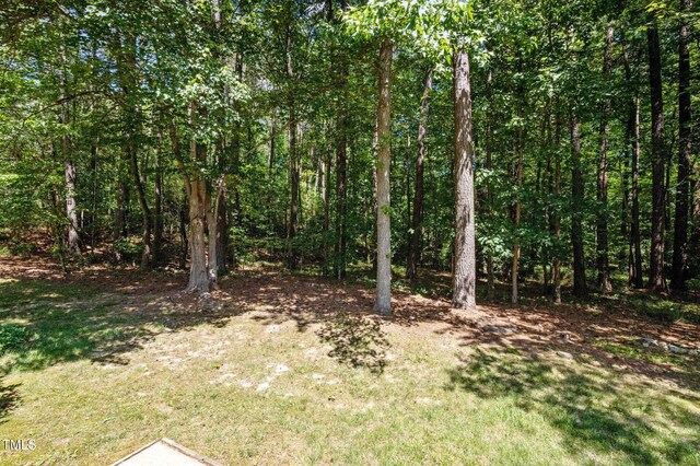 166 Greenmont Ln, Cary, NC 27511 - view of wooded area