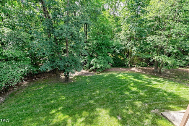 225 Midenhall Way, Cary, NC 27513 - view of green lawn