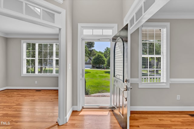 8140 Consella Way, Willow Springs, NC 27592 - entryway with crown molding, light wood-style floors, healthy amount of natural light, and baseboards