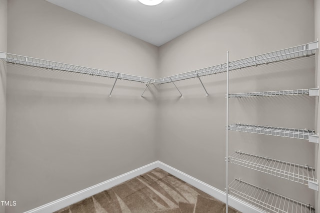 8140 Consella Way, Willow Springs, NC 27592 - walk in closet featuring carpet floors