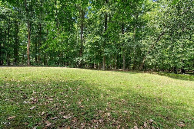 815 Walter Bright Rd, Sanford, NC 27330 - view of grassy yard with a view of trees
