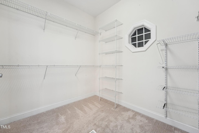105 Bagley Ln, Dunn, NC 28334 - spacious closet featuring carpet flooring