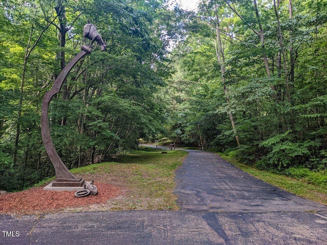 501 Gooseneck Dr Unit B2, Cary, NC 27513 - view of street featuring a forest view