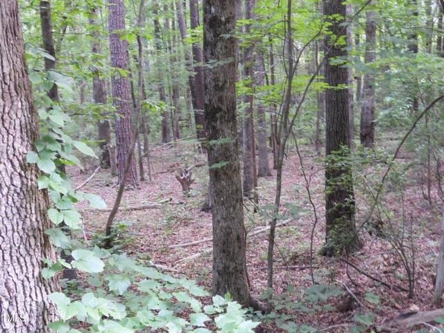 40 Ross Dr, Pittsboro, NC 27312 - photo 4