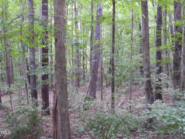 40 Ross Dr, Pittsboro, NC 27312 - photo 6