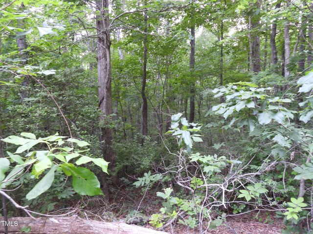 40 Ross Dr, Pittsboro, NC 27312 - photo 7
