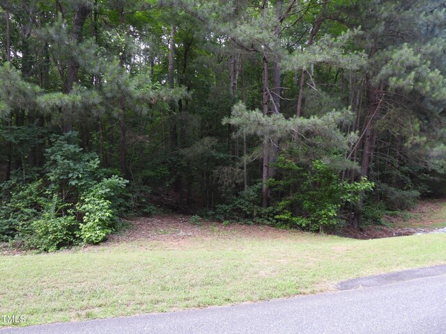 40 Ross Dr, Pittsboro, NC 27312 - photo 8