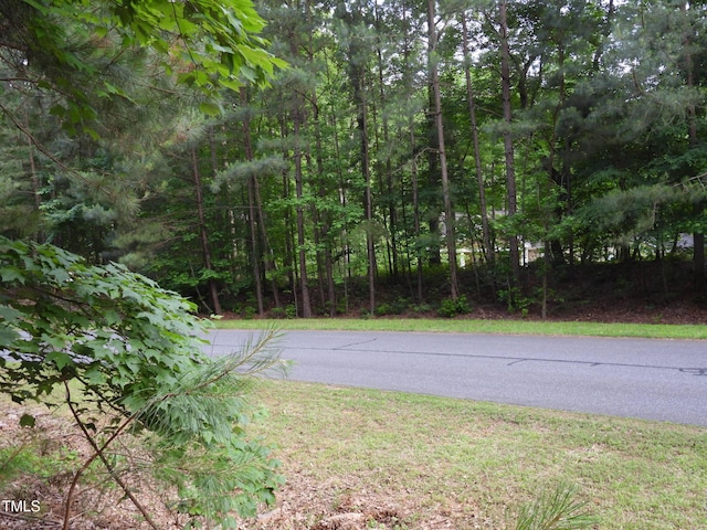 40 Ross Dr, Pittsboro, NC 27312 - photo 9