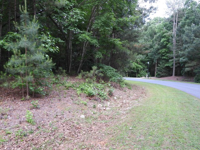 40 Ross Dr, Pittsboro, NC 27312 - photo 11