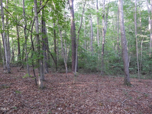 40 Ross Dr, Pittsboro, NC 27312 - photo 14