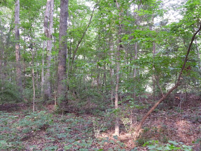 40 Ross Dr, Pittsboro, NC 27312 - photo 18