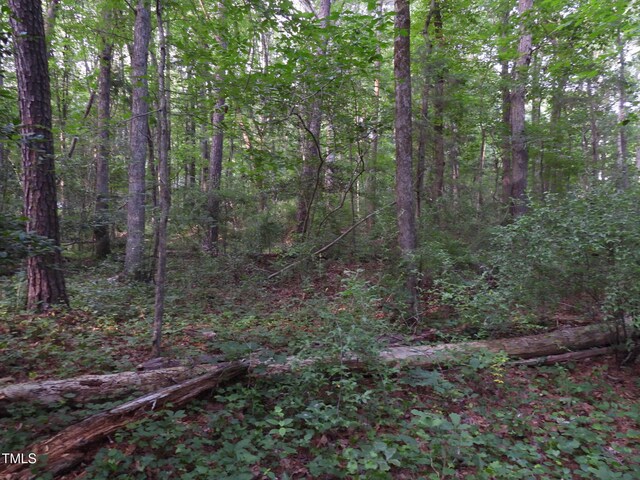40 Ross Dr, Pittsboro, NC 27312 - photo 24