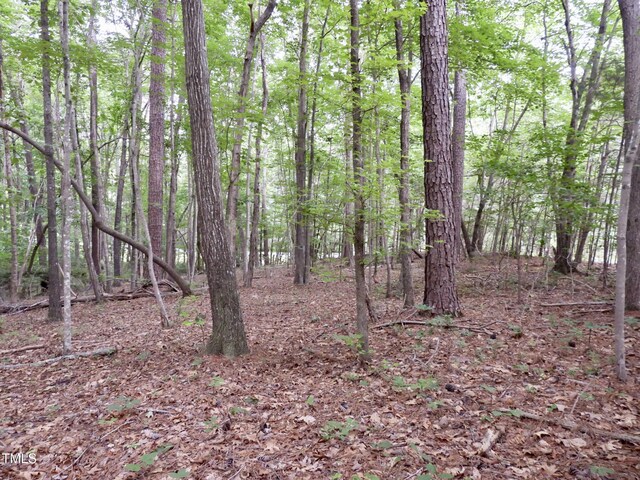 40 Ross Dr, Pittsboro, NC 27312 - photo 27