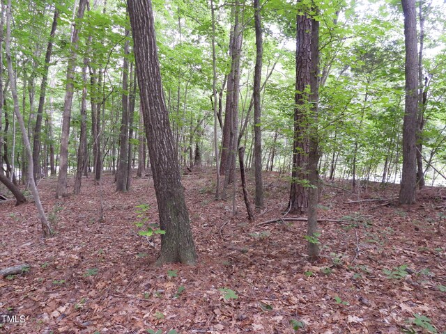 40 Ross Dr, Pittsboro, NC 27312 - photo 28