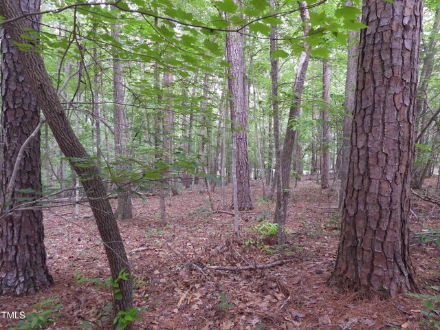 40 Ross Dr, Pittsboro, NC 27312 - photo 29