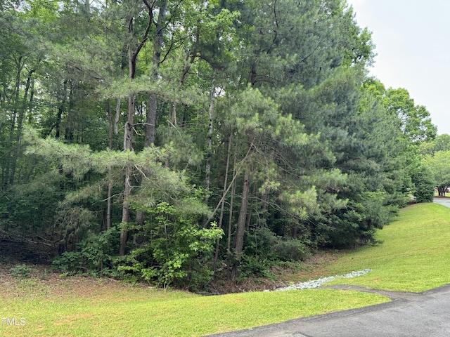 40 Ross Dr, Pittsboro, NC 27312 - photo 35