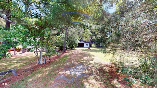 4509 Stevens Chapel Rd, Smithfield, NC 27577 - view of yard