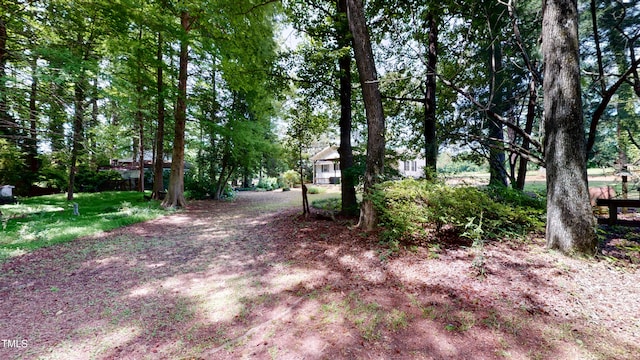 4509 Stevens Chapel Rd, Smithfield, NC 27577 - view of dirt / gravel road