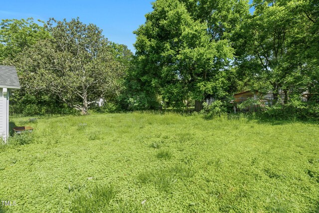 441 Cedar St, Henderson, NC 27536 - view of yard