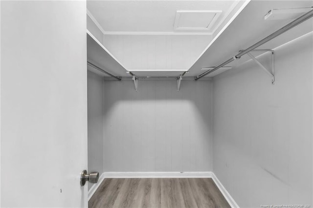 5409 S Sumac Cir, Fayetteville, NC 28304 - spacious closet with wood finished floors