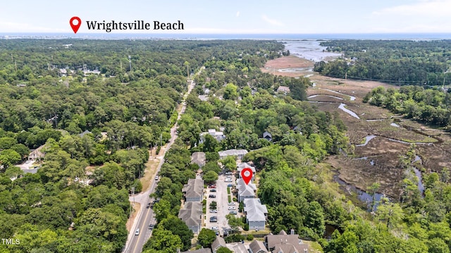 5134 Greenville Loop Rd Apt D, Wilmington, NC 28409 - bird's eye view of a forest