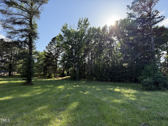 71 Mount Olivet Church Rd, Franklinton, NC 27525 - photo 6