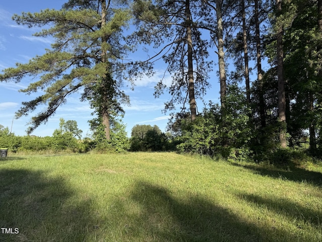 71 Mount Olivet Church Rd, Franklinton, NC 27525 - photo 7
