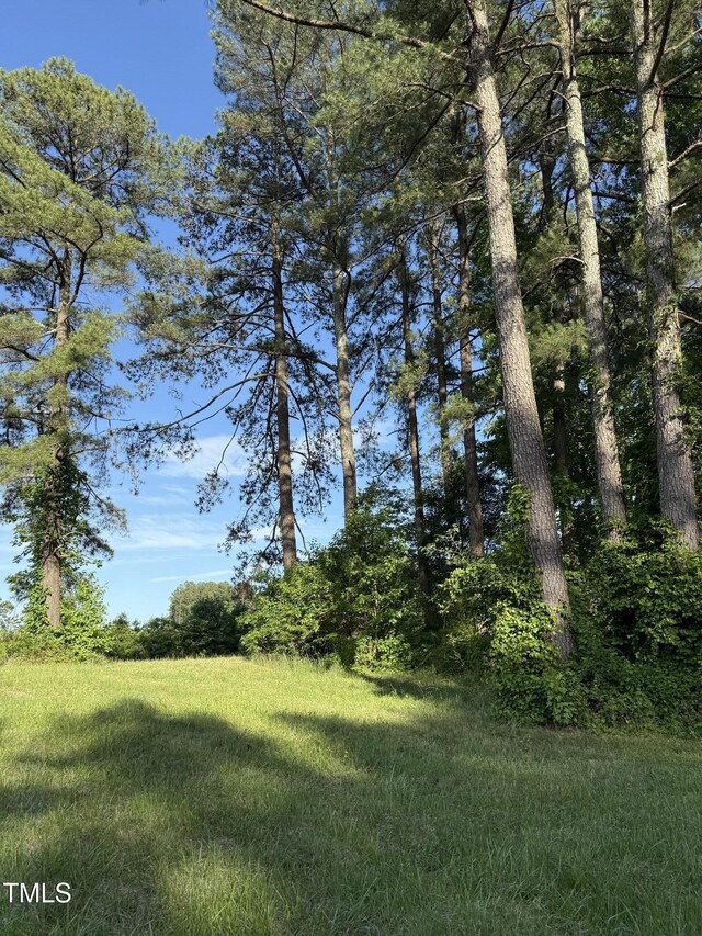 71 Mount Olivet Church Rd, Franklinton, NC 27525 - photo 9
