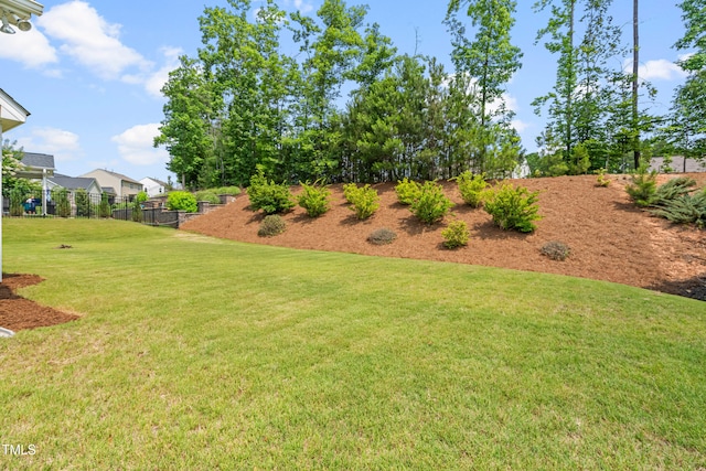 33 E Ravano Dr, Clayton, NC 27527 - view of yard