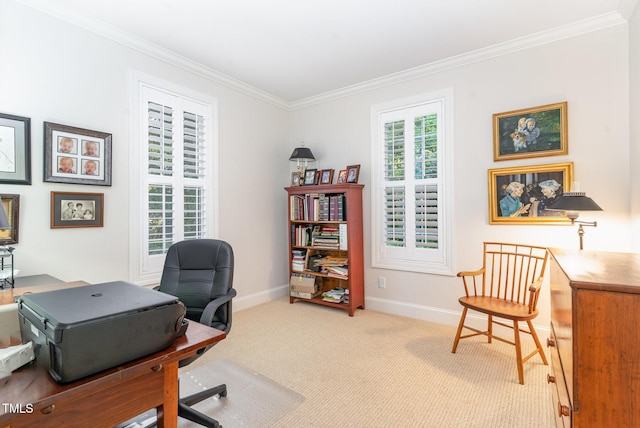 850 N Langdon, Pittsboro, NC 27312 - office space with crown molding, carpet flooring, and baseboards