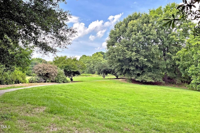 850 N Langdon, Pittsboro, NC 27312 - photo 39