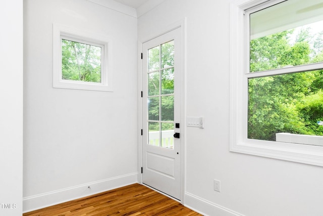 1621 Ella Wiggins Way, Raleigh, NC 27603 - doorway to outside featuring baseboards and dark wood-style floors