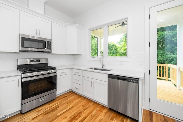 1621 Ella Wiggins Way, Raleigh, NC 27603 - kitchen with appliances with stainless steel finishes, a sink, tasteful backsplash, and light countertops