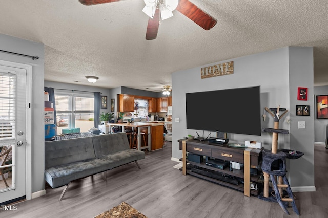 113 W Victoria Ct Unit C, Greenville, NC 27834 - living room featuring ceiling fan, baseboards, a textured ceiling, and wood finished floors
