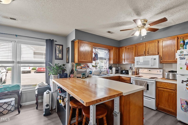 113 W Victoria Ct Unit C, Greenville, NC 27834 - kitchen featuring white appliances, a peninsula, ceiling fan, light wood-type flooring, and healthy amount of natural light